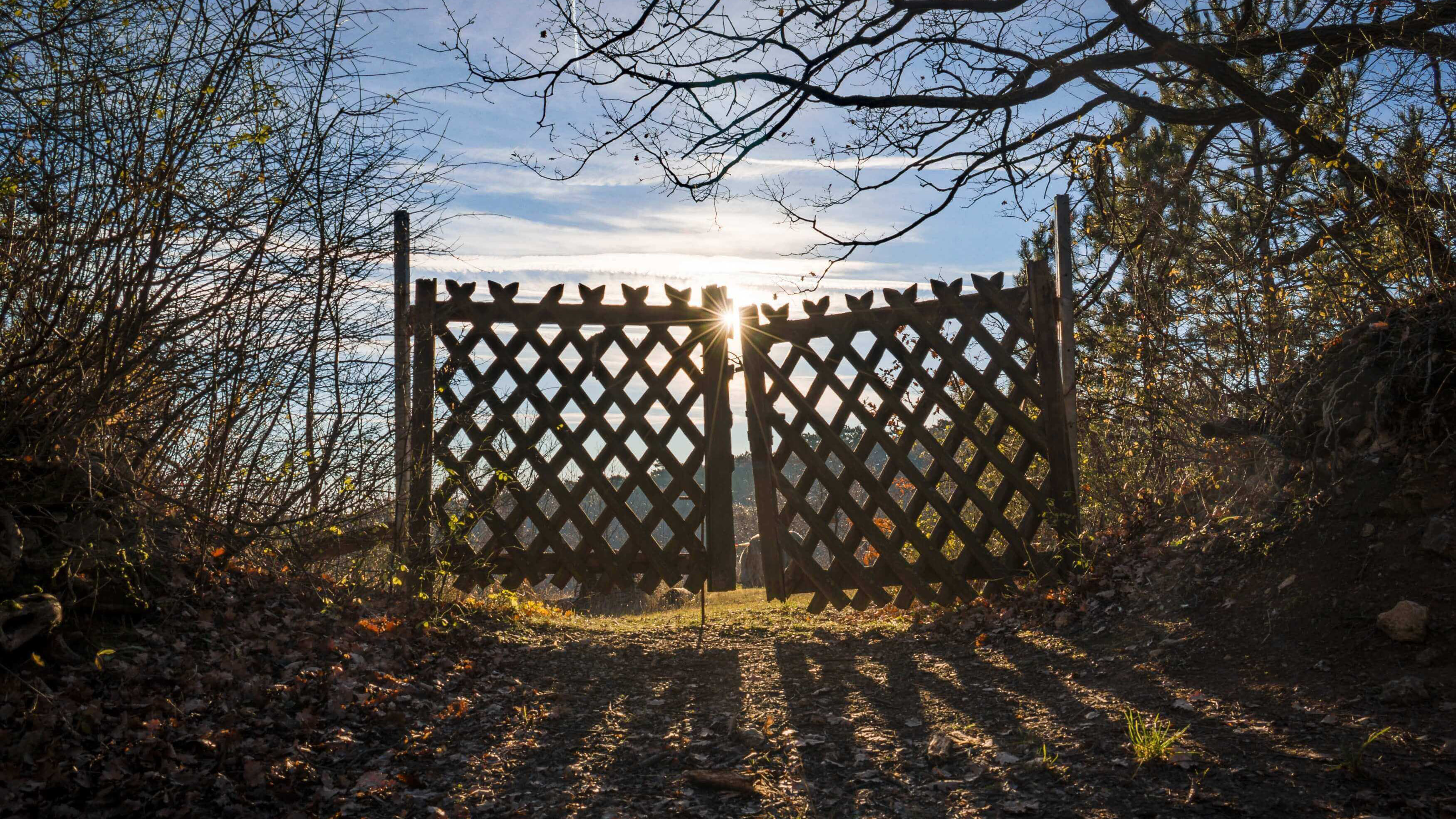 Cover image of a gateway silhouetted by the sun