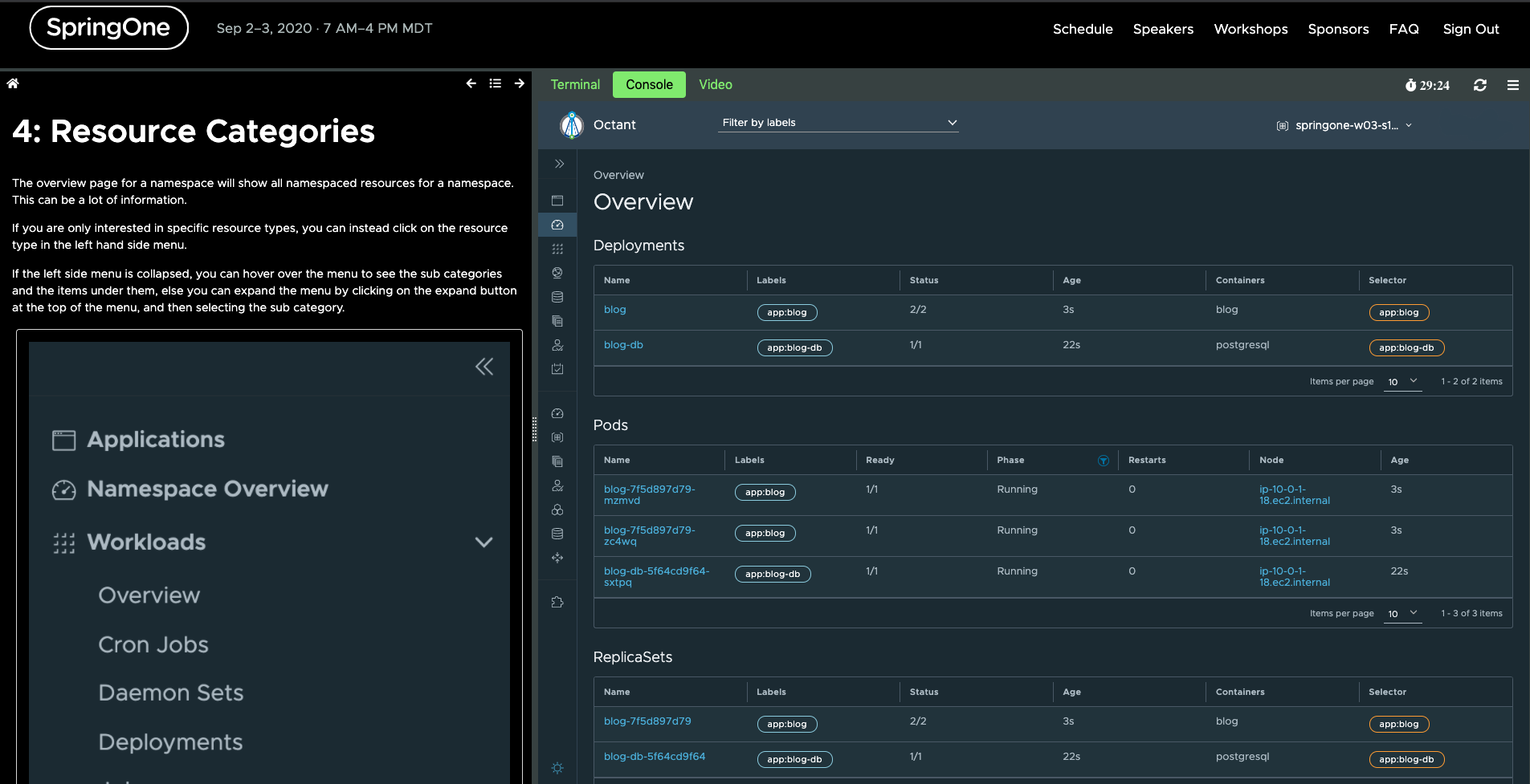 SpringOne2020 Octant example