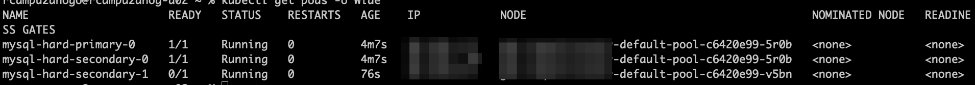 Example kubectl get pods -o wide output