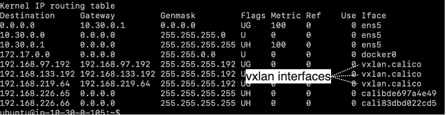 Calico Route Table (VXLAN)