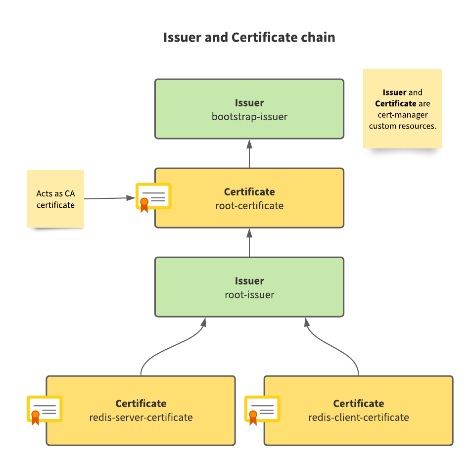 Issuer and certificate chain